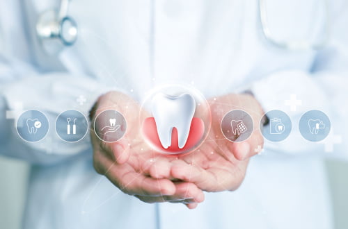 Dental model illustrating coverage concepts under the Canadian Dental Care Plan.